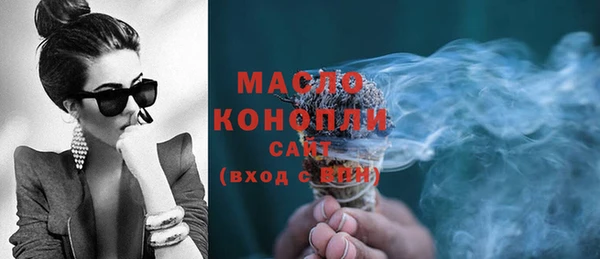 скорость Ельня