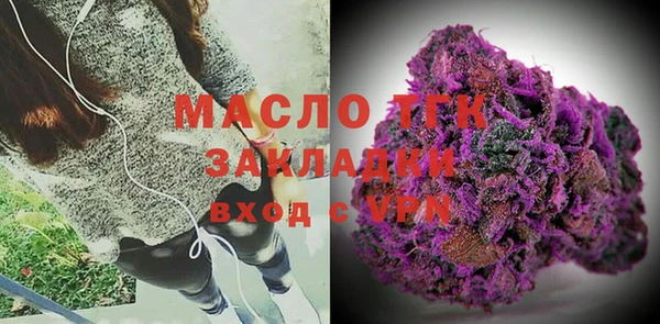 скорость Ельня