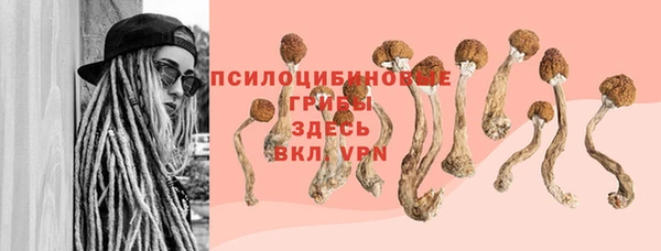 ALPHA PVP Елабуга