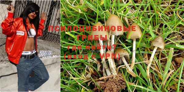 ALPHA PVP Елабуга