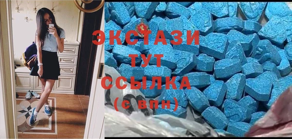 скорость Ельня