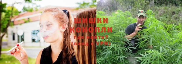 скорость Ельня