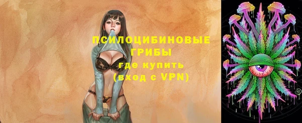 скорость Ельня