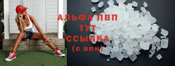 скорость Ельня