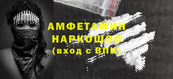 скорость Ельня