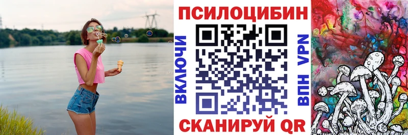 Купить где  Кулебаки  Псилоцибиновые грибы ЛСД 